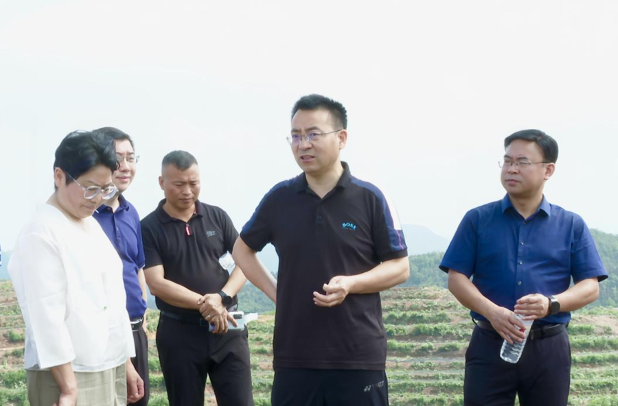 张家铣到泸阳镇宣讲习近平总书记考察湖南重要讲话和指示精神，调研乡村振兴产业发展