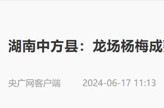 央广网|湖南中方县：龙场杨梅成熟等客来 乡村振兴产业旺