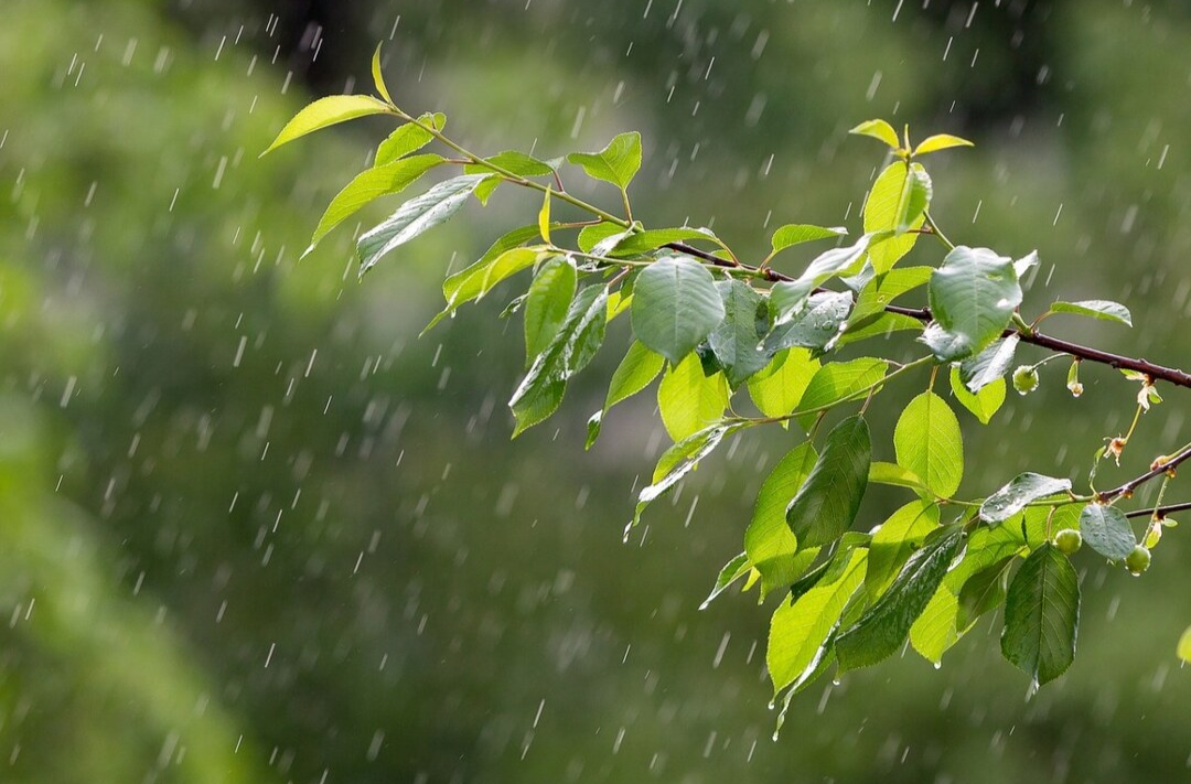 再发三预警！强降雨持续！怀化这些地区需加强防范…