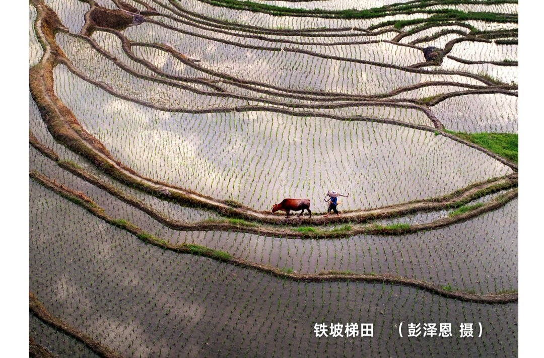 海报|早安中方·从学法开始（151）