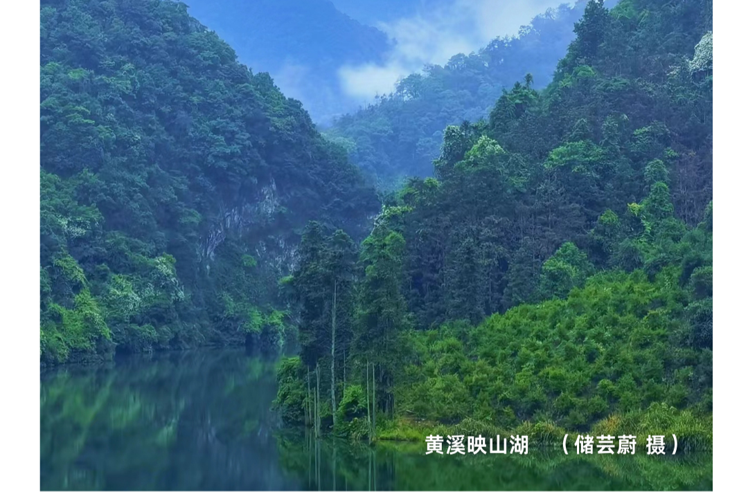 海报|早安中方·从学法开始（149）