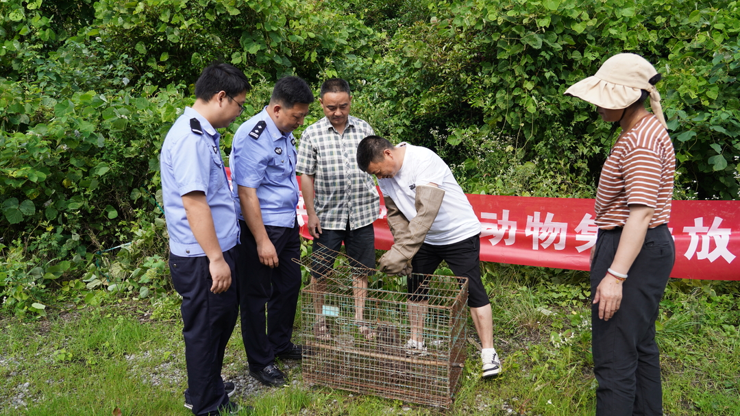 中方县林业局：集中放生一批野生动物  共护生态平衡