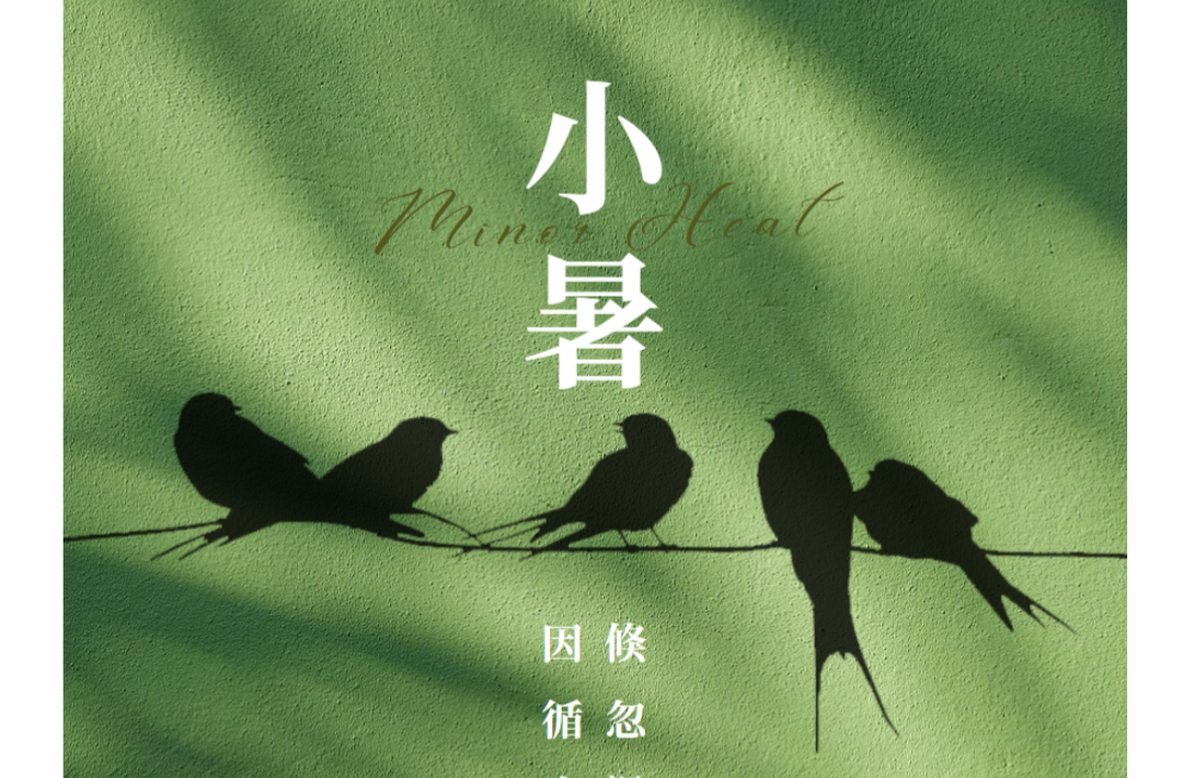海报|早安中方·从学法开始（157）