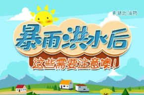 安全科普 | 暴雨洪水后，这些需要注意！