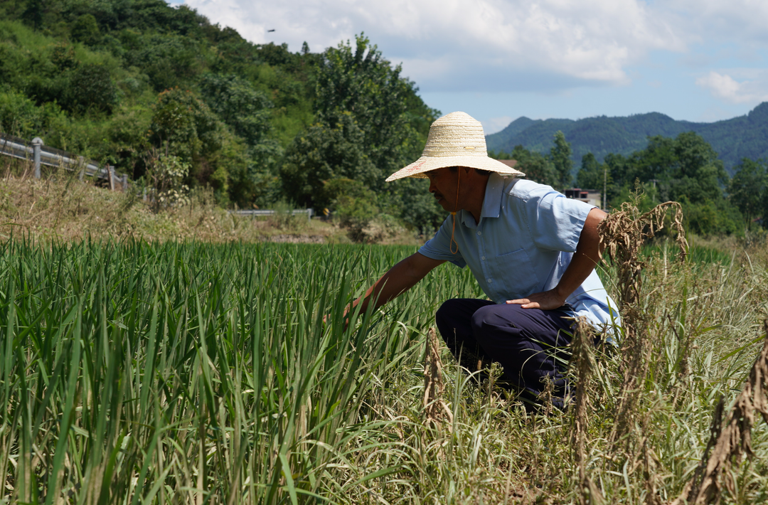 全力以“复”|洪水退去 铜鼎镇抢抓时间 同心协力忙自救