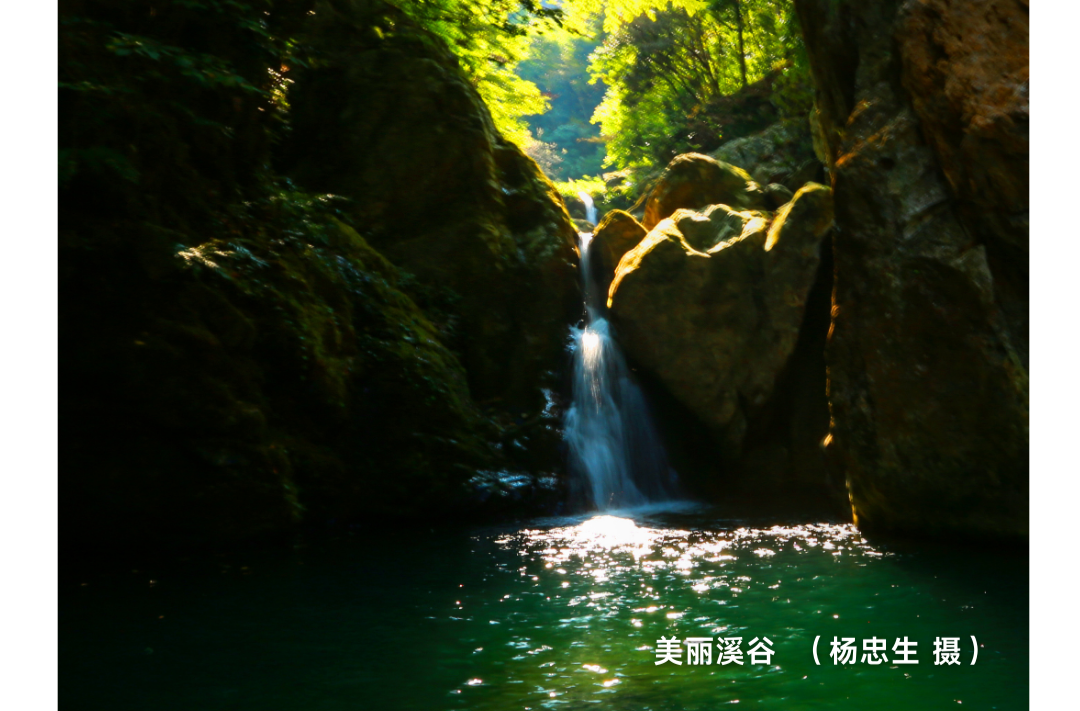 海报|早安中方·从学法开始（164）