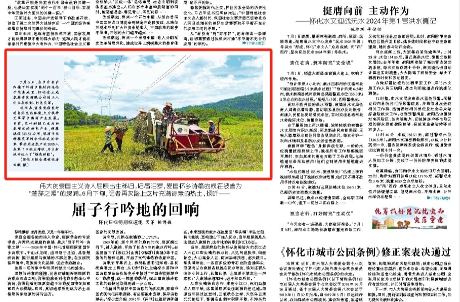 怀化日报头版|中方县：艾叶种植成为助农增收特色产业