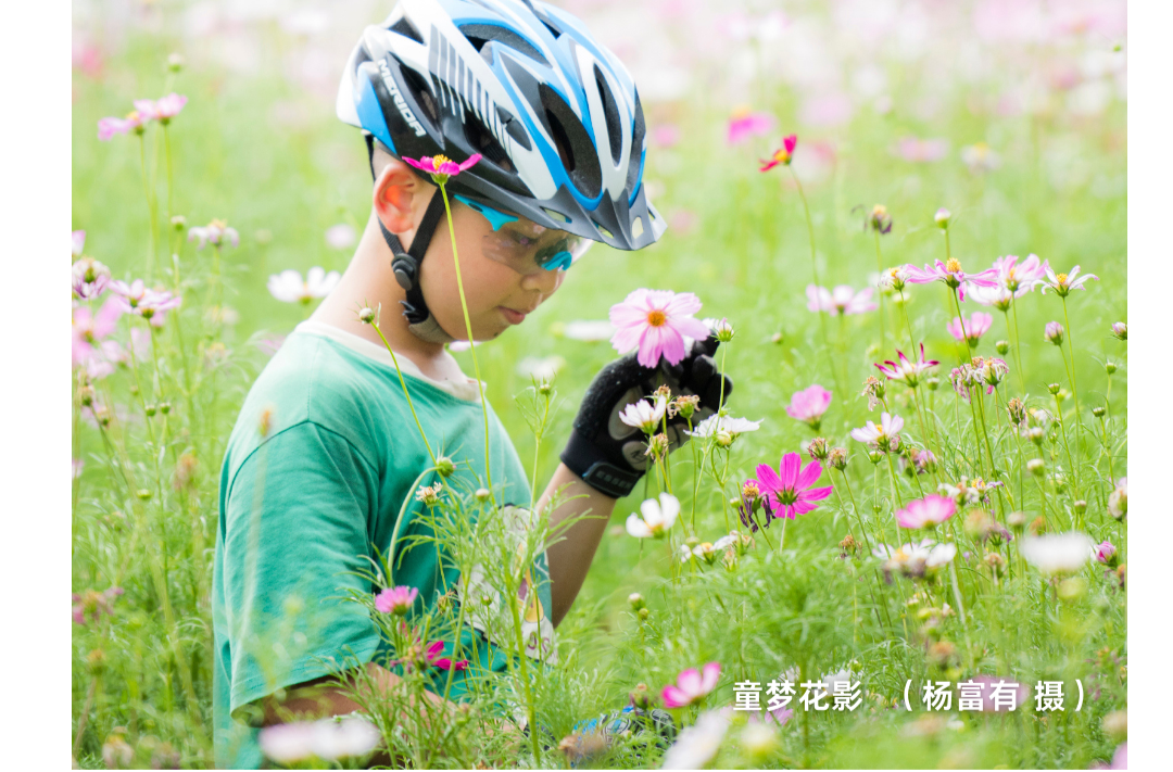 海报|早安中方·从学法开始（165）
