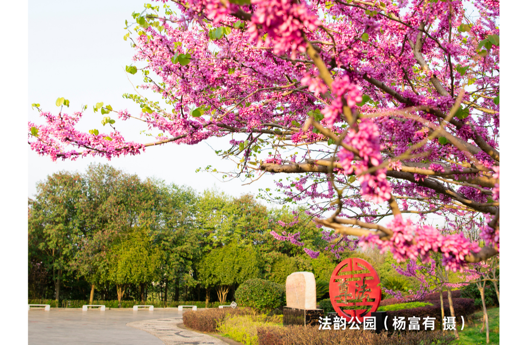 海报|早安中方·从学法开始（168）
