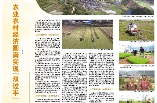 怀化日报专版|中方县：农业农村经济圆满实现“双过半”