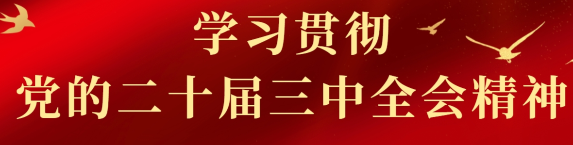 学习贯彻党的二十届三中全会精神