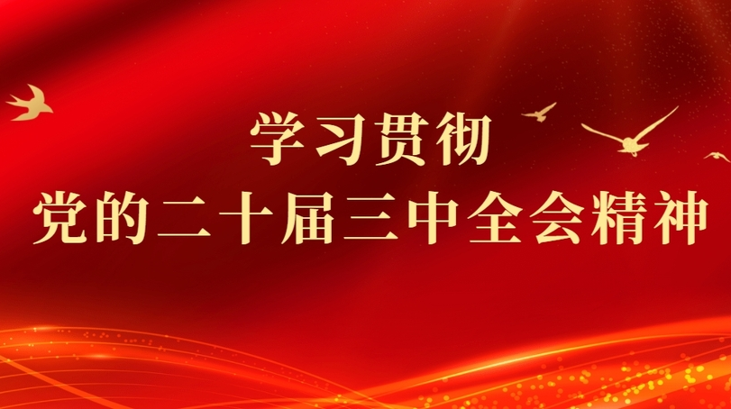 学习贯彻党的二十届三中全会精神