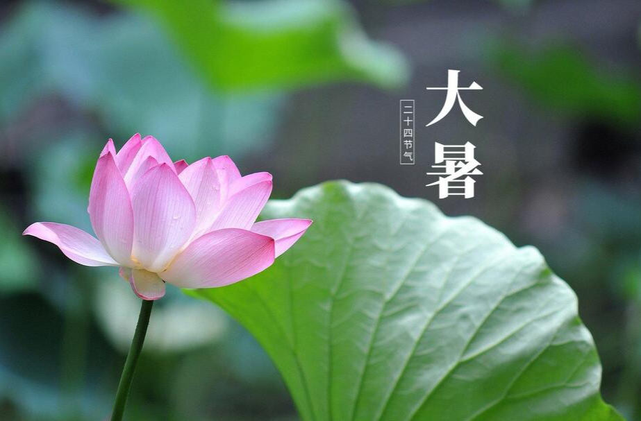 大暑时节要小心这3种病 解锁养生密码→