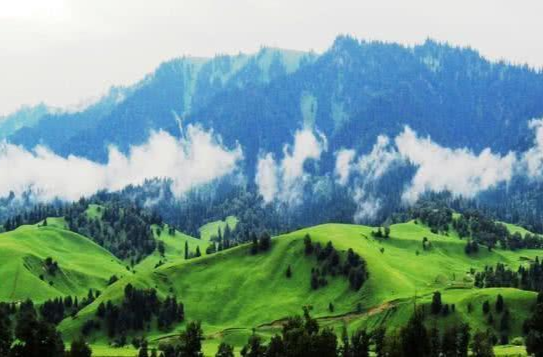 @基础病患者：夏季去高海拔地区旅游，要格外留意呐！