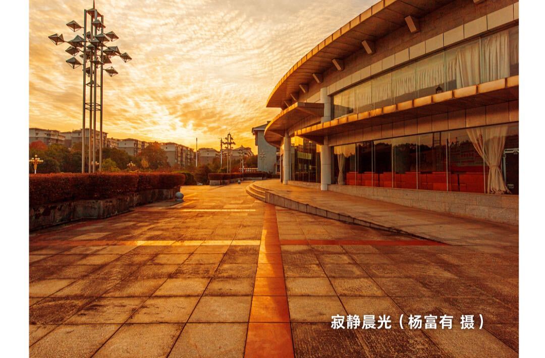 海报|早安中方·从学法开始（183）