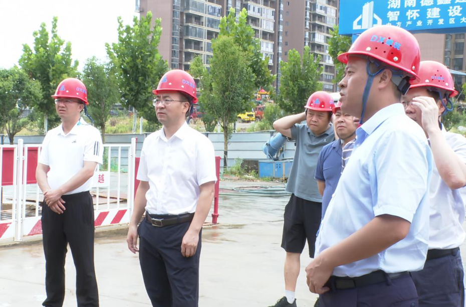 张家铣现场调研重点项目建设