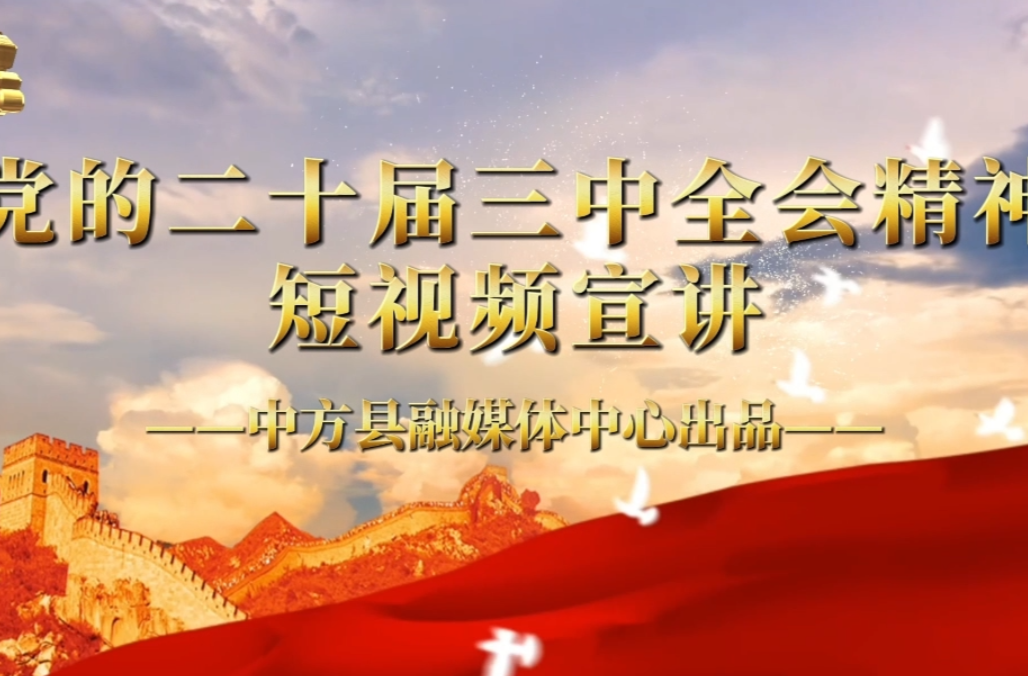 视频|党的二十届三中全会精神短视频宣讲（二）完善就业优先政策