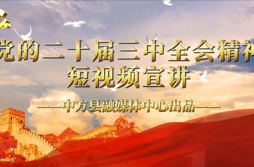 视频|党的二十届三中全会精神短视频宣讲（五）健全社会保障体系