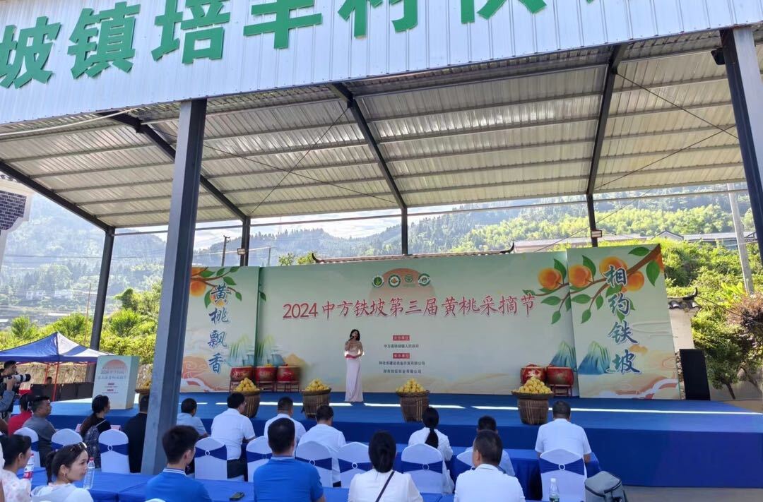中方县铁坡黄桃采摘节开幕
