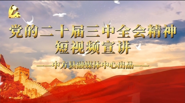 视频|党的二十届三中全会精神短视频宣讲（九）进一步全面深化改革的指导思想