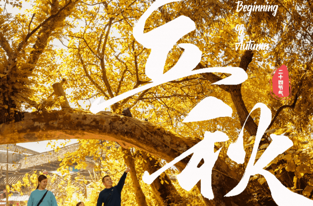 动态海报 | 二十四节气里的中方·立秋