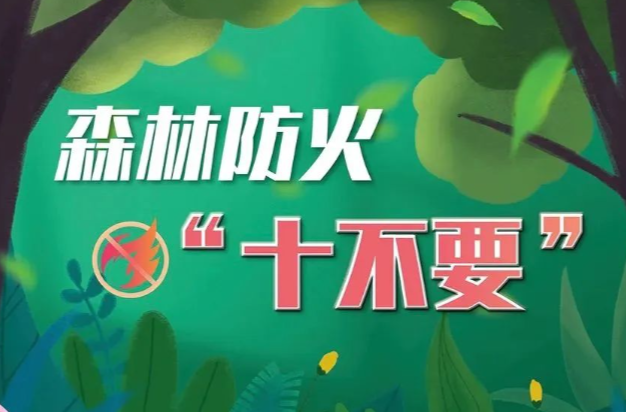 安全科普 | 风干物燥，森林防火莫大意