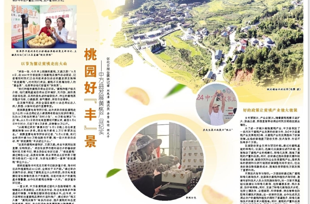 怀化日报专版|桃园好“丰”景 ——中方县发展黄桃产业纪实