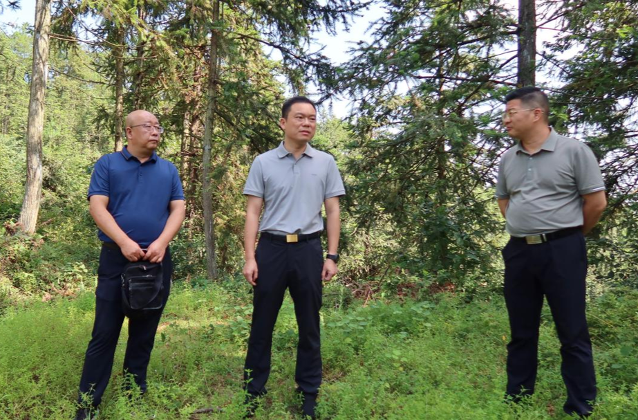 胡杰到乡镇调研农村道路安防工程建设、抗旱、森林防火、防溺水工作