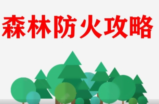 安全科普 | 森林防火攻略，请收下