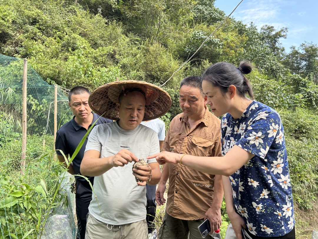 中方县林业局：开展特色养殖上门服务 营造亲商便民环境