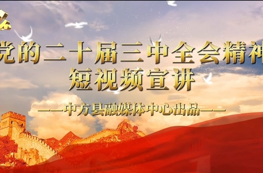 视频｜党的二十届三中全会精神短视频宣讲（十七）完善高水平对外开放体制机制