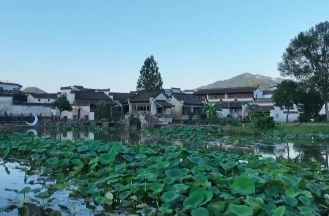 文化中国行丨距今几百年为何不惧暴雨洪涝？揭秘古村落的生态智慧