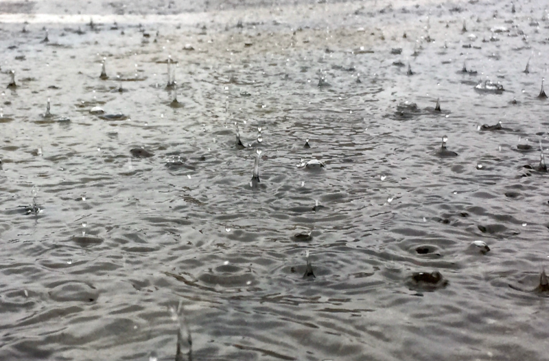 省防办紧急提醒：未来7日，湖南这些地方雨量偏多