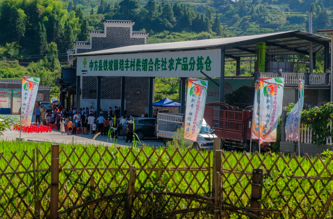 光影中方|铁坡黄桃熟了，村民开心笑了