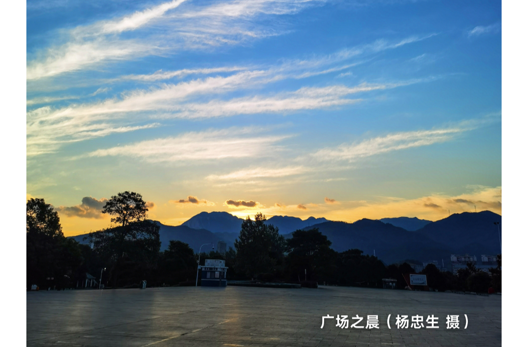 海报|早安中方·从学法开始（202）