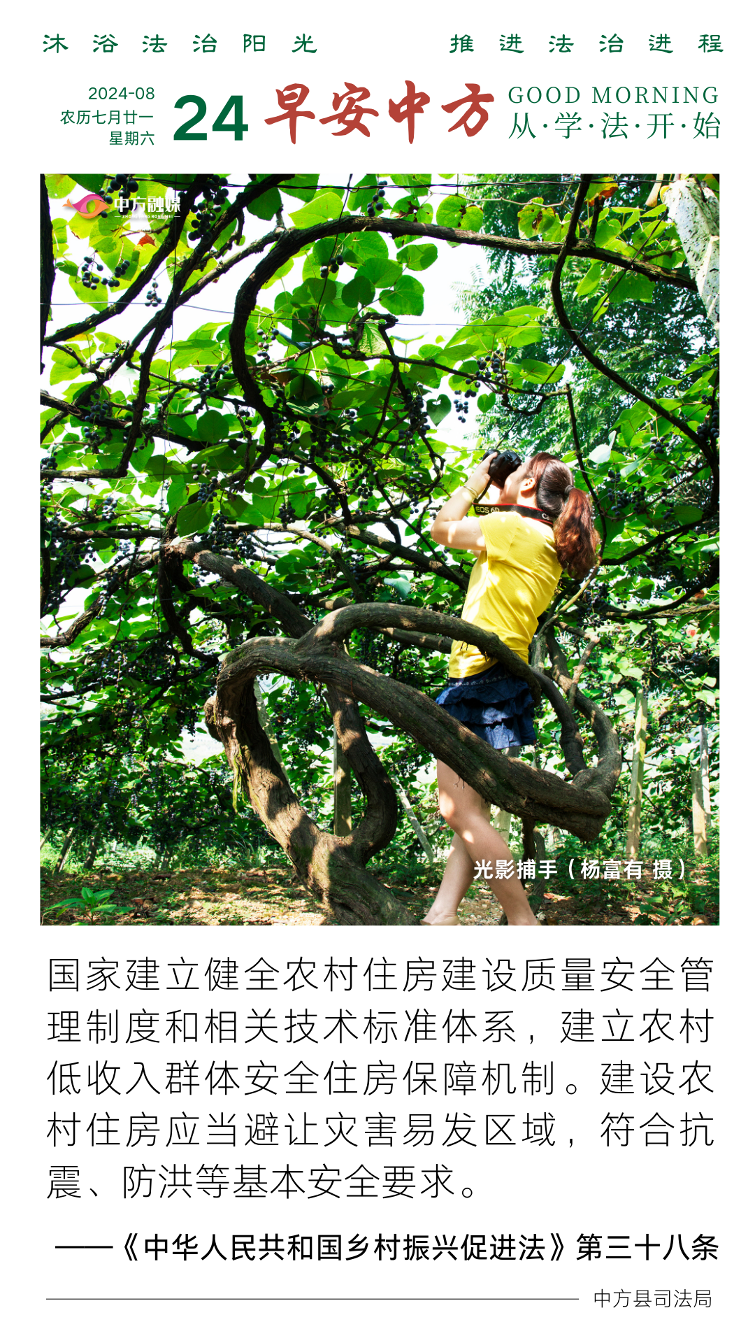 海报|早安中方·从学法开始（206）