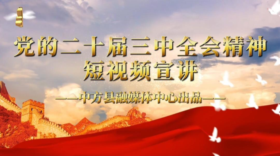 视频｜党的二十届三中全会精神短视频宣讲（二十一）健全保障和改善民生制度体系