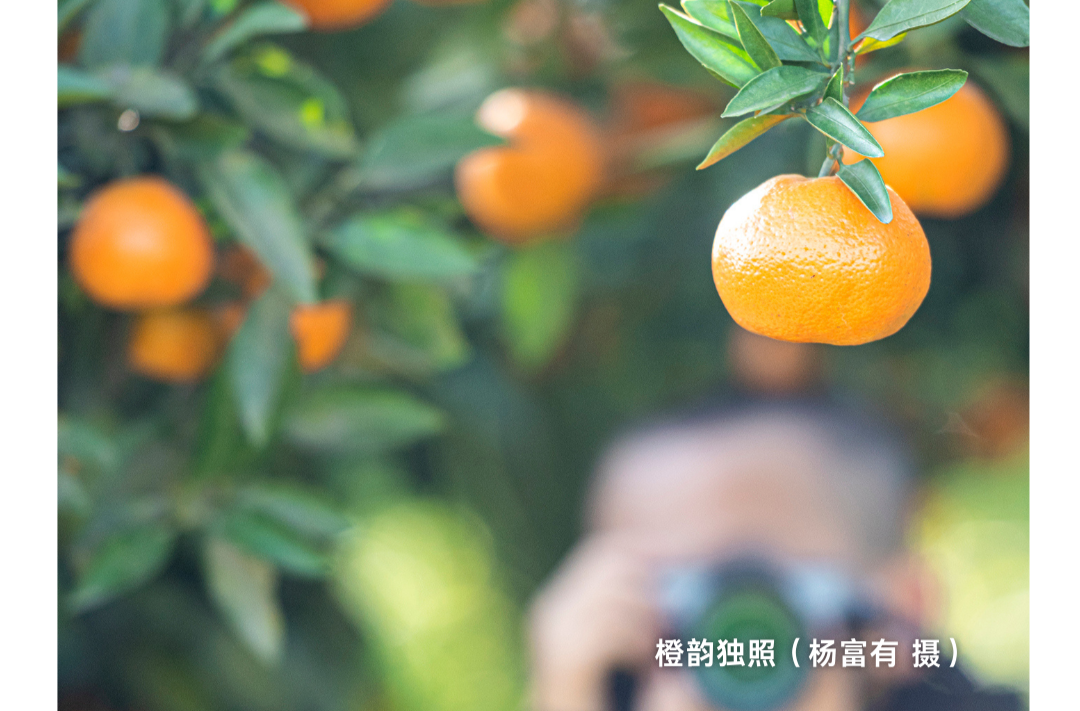 海报|早安中方·从学法开始（203）