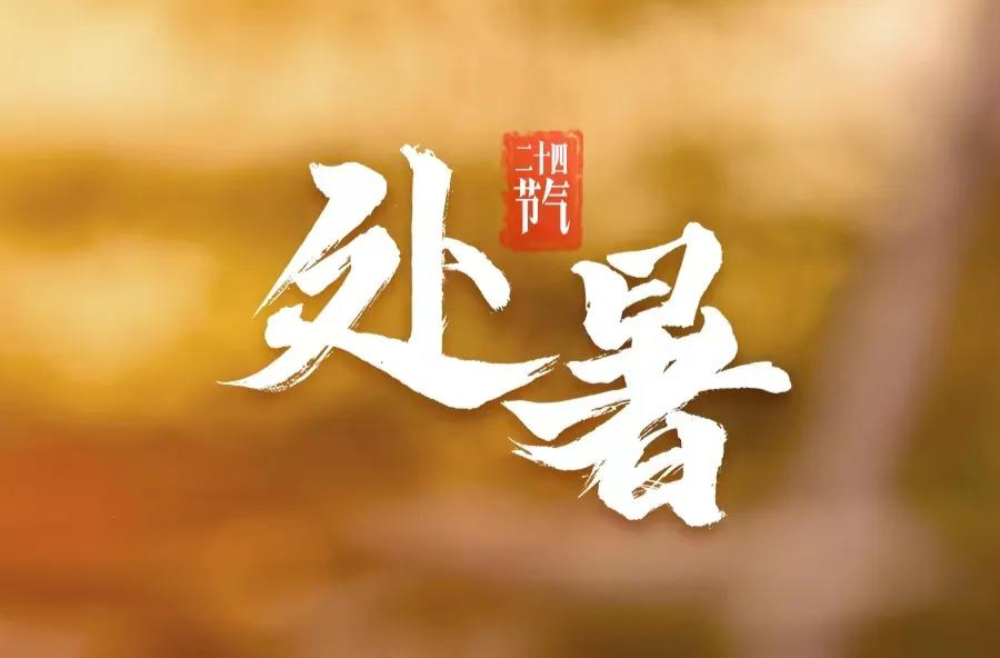 今日处暑！