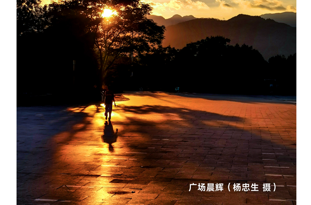 海报|早安中方·从学法开始（204）