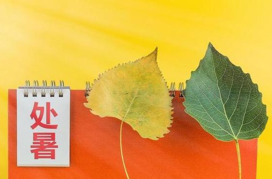 处暑后天气变凉变干，国家卫健委发布养生提示