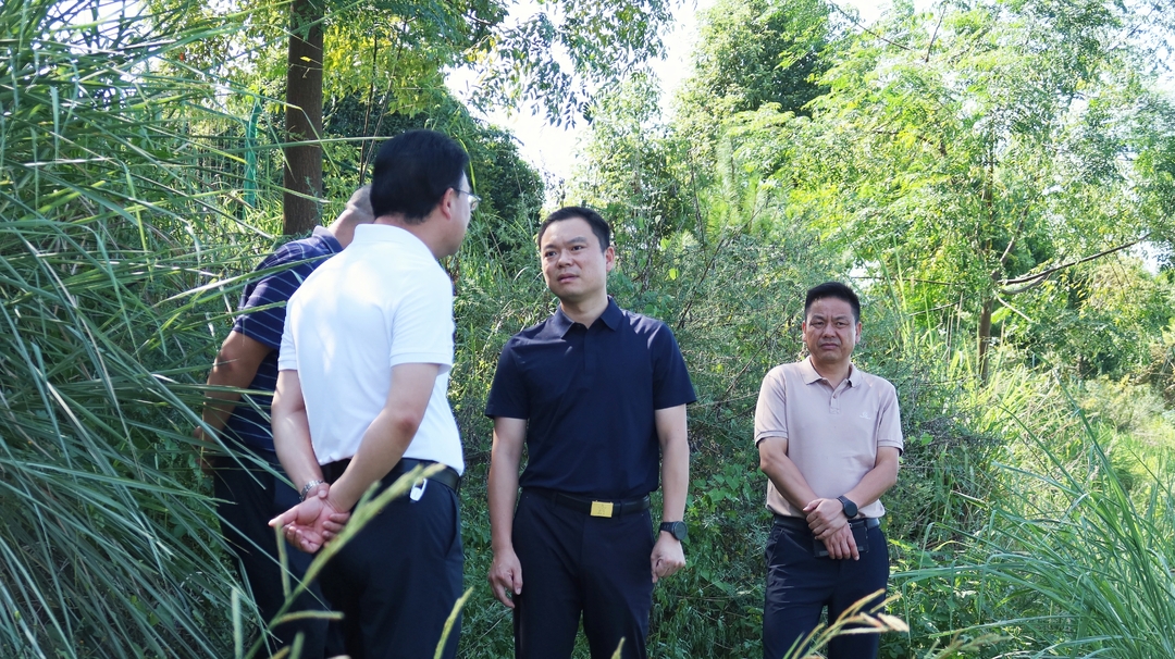 胡杰实地督导地表水质提升工作