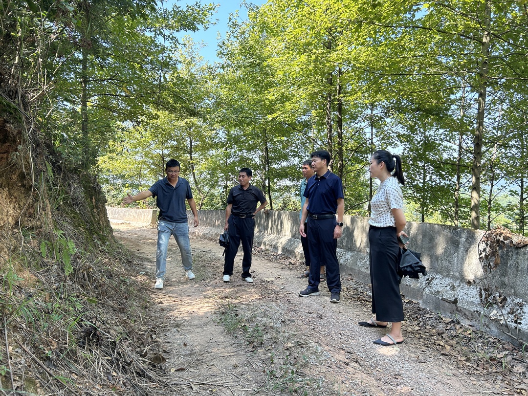 中方县林业局开展乡镇森林防火阻隔带建设工作