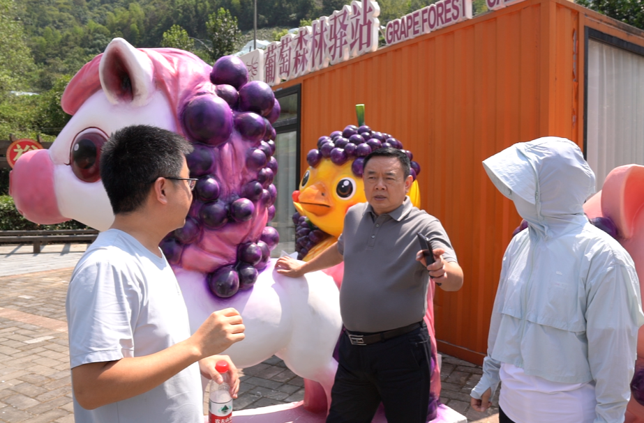 张必忠等县领导现场调研“村晚”活动筹备情况