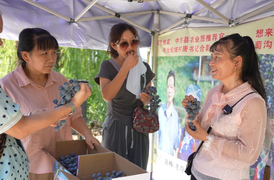 中方县：刺葡萄销售旺 果农迎来甜蜜生活