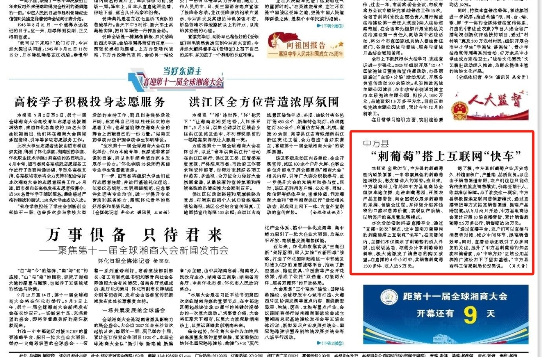 怀化日报头版|中方县“刺葡萄”搭上互联网“快车”