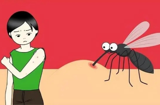 被蚊子叮了会“感冒”？收好这份登革热防控提醒