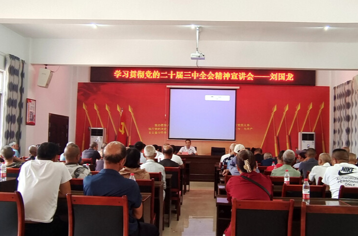 刘国龙深入泸阳镇桥上村宣讲党的二十届三中全会精神