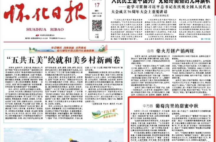 怀化日报头版|中方县葡萄沟里的甜蜜中秋
