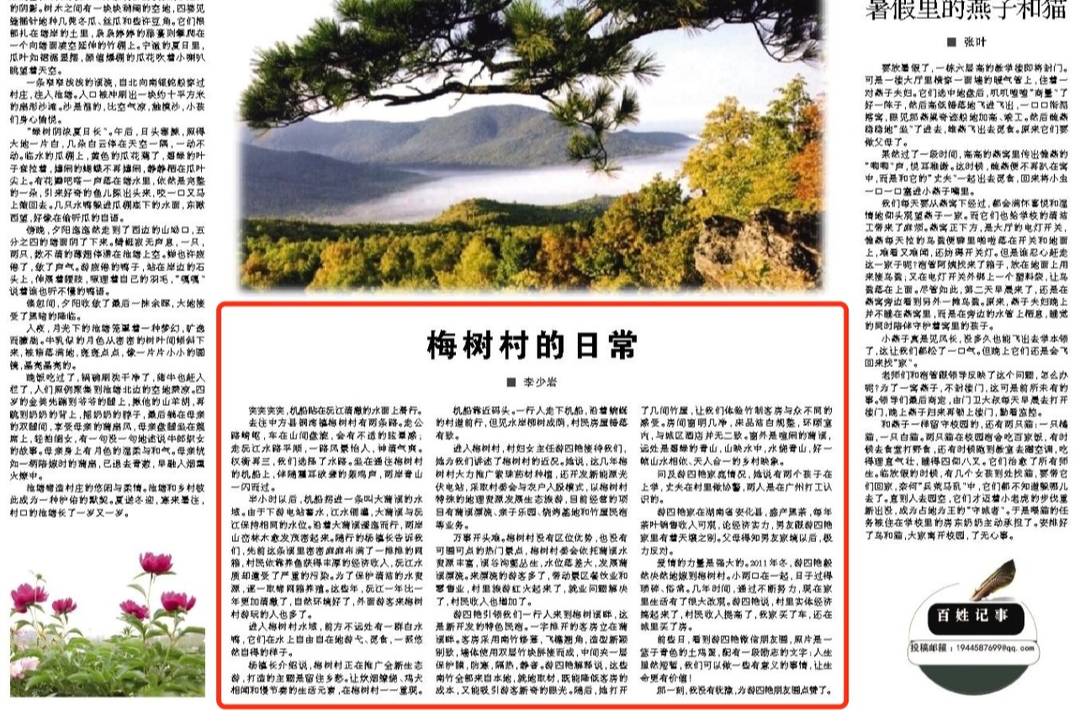 怀化日报｜梅树村的日常